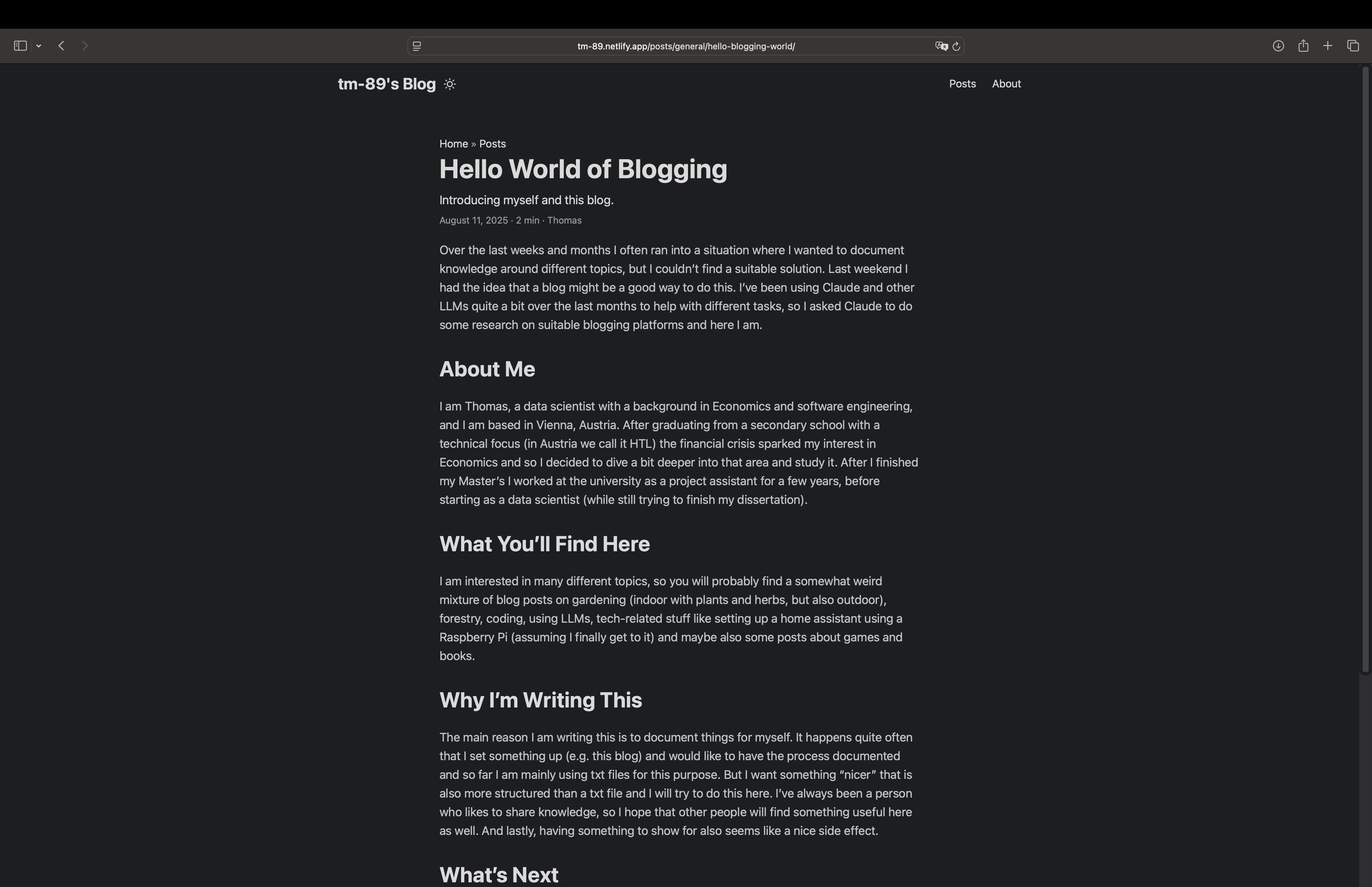 Individual blog post view